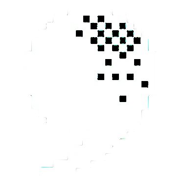 Per Hoc Logo